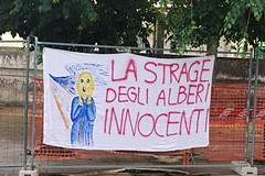 Tigli tagliati, spunta uno striscione