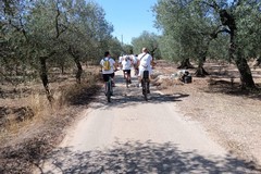 "Domenica in Bici 2024" ha fatto tappa a Torre di Lerma