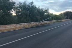 Vigile del Fuoco investito da un'auto pirata sulla strada Terlizzi-Molfetta
