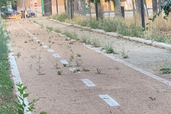 Erba infestante su marciapiedi e pista ciclabile: la denuncia di Barione