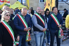 Olivicoltura in allarme, Coldiretti in piazza: «La Regione dichiari lo stato di crisi»