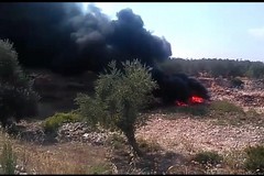 Incendio in zona Pozzo Soldano, bruciati alberi di ulivo