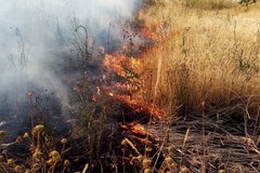 Rischio incendi a Terlizzi, firmata l'ordinanza con misure urgenti di prevenzione