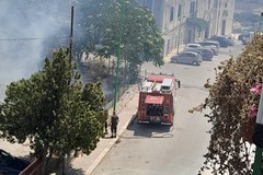 Incendio di sterpaglie in via Carelli