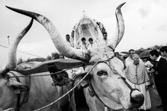 Gli scatti della Festa della Madonna di Sovereto alla mostra fotografica "In spem peregrinantes"