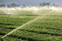 Coldiretti: «Caro carburanti ferma trattori e aggrava costi irrigazione in Puglia»