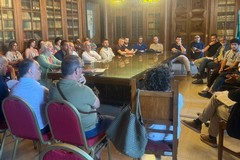 Emergenza Xylella, anche Terlizzi all'incontro della Città Metropolitana di Bari