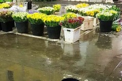 Mercato dei Fiori, CIA: «Lavori al tetto non risolveranno problemi»