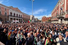 Orgoglio Olivicolo: «15 ottobre conferenza Stato-Regioni, poi pronti a manifestare a Roma»