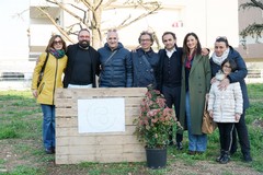 I cittadini adottano due spazi verdi in viale Dei Giardini: a Terlizzi nascono gli orti urbani