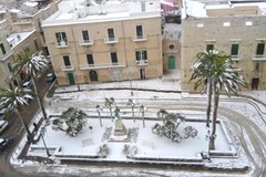 Terlizzi dall'alto, uno spettacolo di colore bianco / FOTOGALLERY