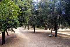 L'Amministrazione punta a valorizzare l'area della collinetta del Parco comunale