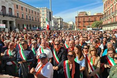 Ecco da dove arriva l'olio che sta rovinando gli olivicoltori di Terlizzi - VIDEO