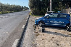 Polizia Locale: autovelox sulla provinciale Terlizzi-Molfetta