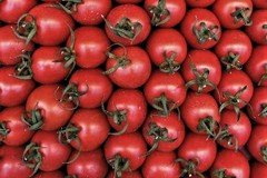 Caro pomodori, costi di produzione superiori di 3500 euro ad ettaro