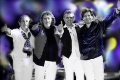 Poohlive in concerto: questa sera la tribute band si esibirà in piazza Cavour