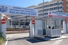 In scooter, finisce contro un cavallo. «Ma l'animale non vagava liberamente»