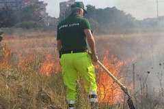 Ecoreati, le segnalazioni ai Rangers D'Italia sezione Puglia