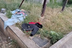 Spazi verdi, la critica dell'UDC di Terlizzi: «Fiori nelle serre, erbacce in città»