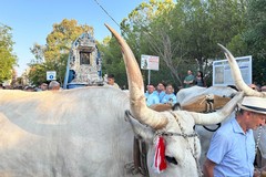 Arrivata a Terlizzi in processione l’icona di Maria Santissima di Sovereto – LE FOTO
