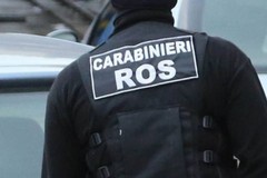 Maxiblitz del Ros, 104 arresti: in manette anche diversi esponenti di Terlizzi