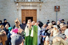 Sant'Antonio Abate, a Terlizzi la benedizione degli animali all'Immacolata - FOTO