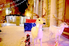 Le luci di Natale stanno arrivando, si comincia da piazza Cavour