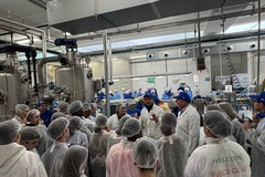 Un ponte tra Bisceglie e la Francia: Mastrototaro Food accoglie studenti in Erasmus