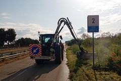 Lotta Xylella, proseguono interventi di sfalcio e misure fitosanitarie lungo la sp 231