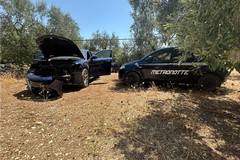 Due furti sventati, un'auto recuperata: alta l'attenzione della Metronotte