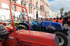 I trattori invadono Terlizzi: domani i gilet arancioni scendono in piazza