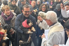 Sant’Antonio Abate, sul sagrato della parrocchia San Gioacchino la benedizione degli animali