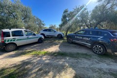 Auto rubata ritrovata nell'agro di Terlizzi da Polizia Locale e Guardie Campestri