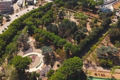 Partono a Terlizzi nuovi interventi manutentivi del verde pubblico