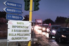Agricoltori in protesta sulla SP 231: tra le contestazioni l’ingresso di olio tunisino al porto di Bari