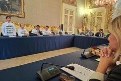 Crisi olivicola, i sindaci al fianco degli agricoltori. Il comparto «Ora attendiamo i fatti»