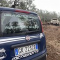 Auto rubate trovate incendiate nelle campagne di Terlizzi