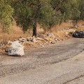 Una nuova discarica sulla provinciale tra Giovinazzo e Terlizzi