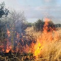 Di nuovo fiamme in via Chicoli (FOTO e VIDEO)