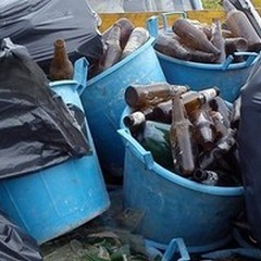 I volontari raccolgono in campagna migliaia di bottiglie di vetro abbandonate