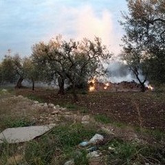 Roghi di residui agricoli sull'Appia-Traiana