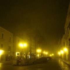 Terlizzi avvolta nella nebbia, inconsueta e bellissima