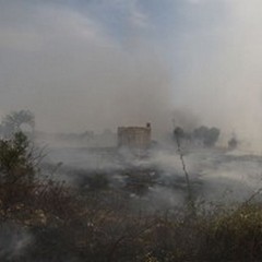 Incendio di vaste proporzione in contrada Gurgo