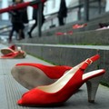 Violenza sulle donne, il programma completo a Terlizzi