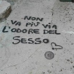 «Non va via l'odore del sesso». Scritte nere imbrattano il centro storico