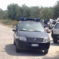 Tre auto di servizio  "ibride " per la polizia municipale