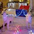 Babbo Natale e le sue renne in piazza IV novembre