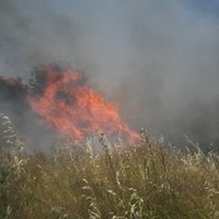 Ultim'ora: Rogo in zona Chicoli, ancora sterpaglie che bruciano