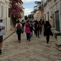 Le attività dell'associazione "Il cammino di don Tonino " proseguono on line