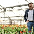 Ritorno Ninni Gemmato, la disapprovazione del Comitato Liberi Agricoltori di Terlizzi